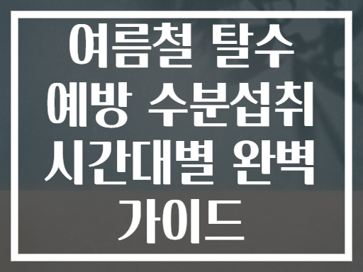 여름철 탈수 예방 수분섭취 시간대별 완벽 가이드