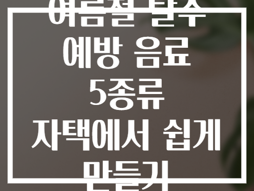 여름철 탈수 예방 음료 5종류 자택에서 쉽게 만들기