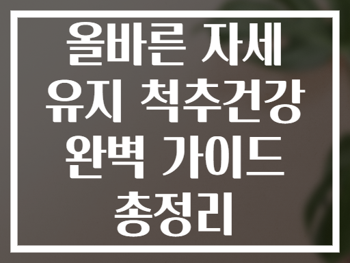 올바른 자세 유지 척추건강 완벽 가이드 총정리