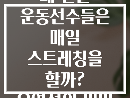 왜 전문 운동선수들은 매일 스트레칭을 할까? 유연성의 비밀