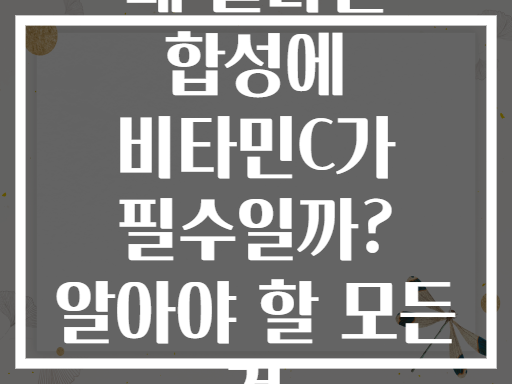 왜 콜라겐 합성에 비타민C가 필수일까? 알아야 할 모든 것