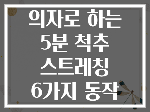 의자로 하는 5분 척추 스트레칭 6가지 동작