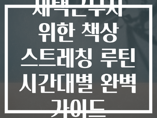 재택근무자 위한 책상 스트레칭 루틴 시간대별 완벽 가이드