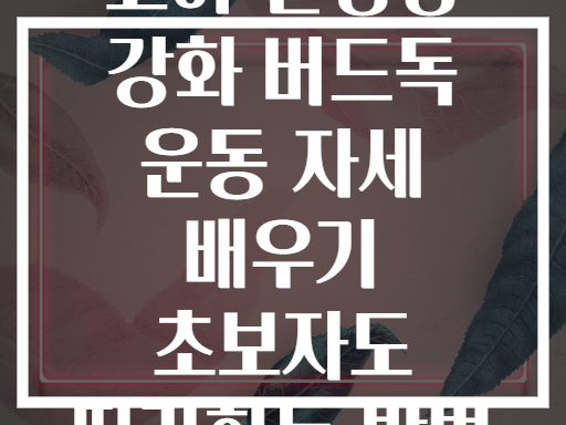 코어 안정성 강화 버드독 운동 자세 배우기 초보자도 따라하는 방법