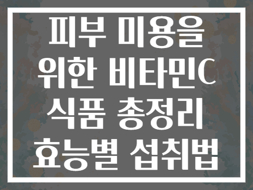 피부 미용을 위한 비타민C 식품 총정리 효능별 섭취법
