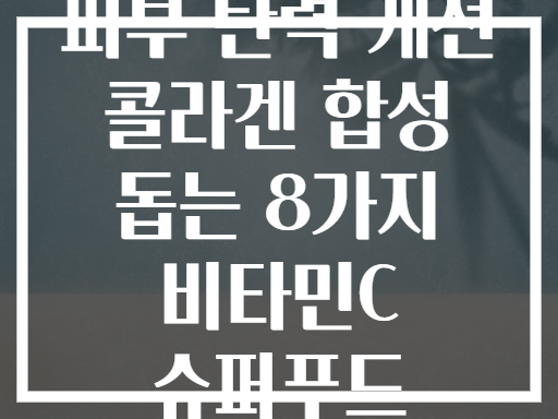 피부 탄력 개선 콜라겐 합성 돕는 8가지 비타민C 슈퍼푸드