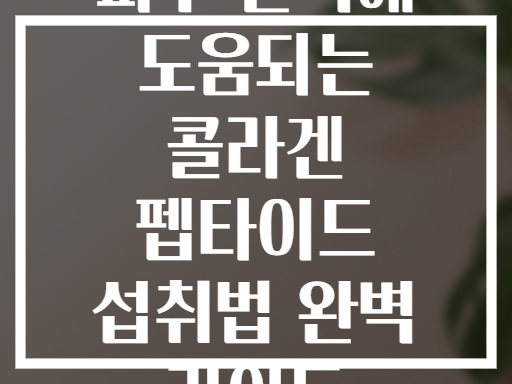 피부 탄력에 도움되는 콜라겐 펩타이드 섭취법 완벽 가이드