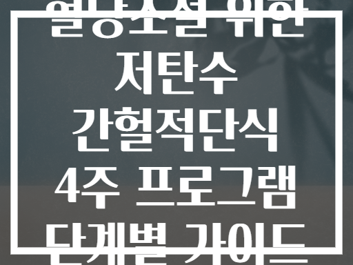 혈당조절 위한 저탄수 간헐적단식 4주 프로그램 단계별 가이드
