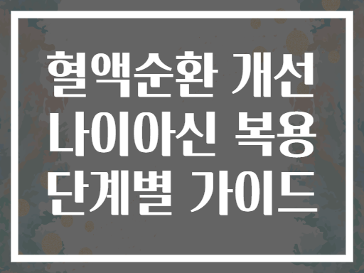 혈액순환 개선 나이아신 복용 단계별 가이드