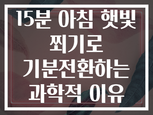 15분 아침 햇빛 쬐기로 기분전환하는 과학적 이유