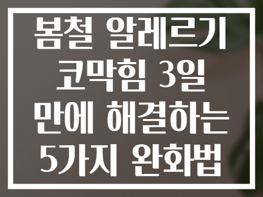 봄철 알레르기 코막힘 3일 만에 해결하는 5가지 완화법