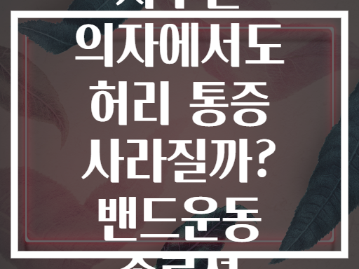 사무실 의자에서도 허리 통증 사라질까? 밴드운동 솔루션