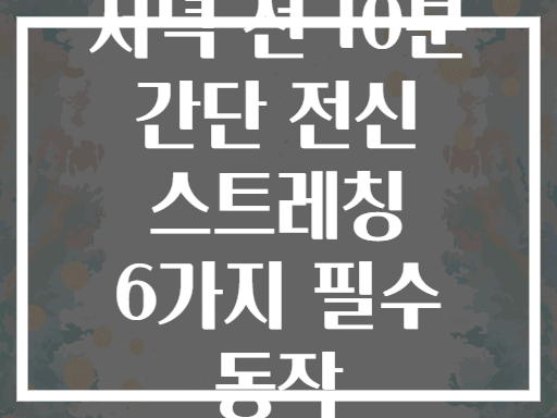 저녁 전 10분 간단 전신 스트레칭 6가지 필수 동작
