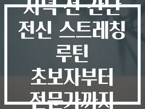 저녁 전 간단 전신 스트레칭 루틴 초보자부터 전문가까지