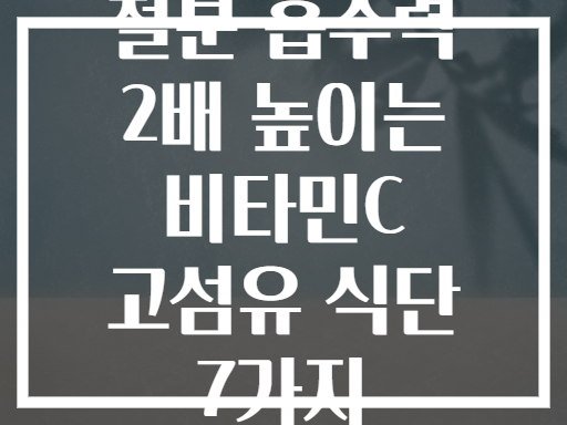 철분 흡수력 2배 높이는 비타민C 고섬유 식단 7가지