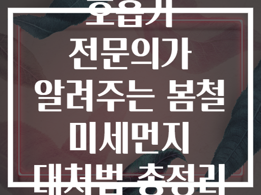 호흡기 전문의가 알려주는 봄철 미세먼지 대처법 총정리