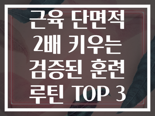 근육 단면적 2배 키우는 검증된 훈련 루틴 TOP 3