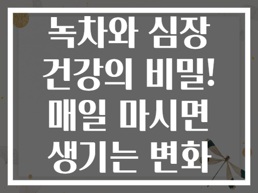 녹차와 심장 건강의 비밀! 매일 마시면 생기는 변화