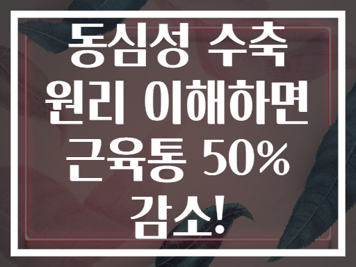 동심성 수축 원리 이해하면 근육통 50% 감소!