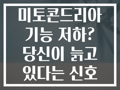 미토콘드리아 기능 저하? 당신이 늙고 있다는 신호