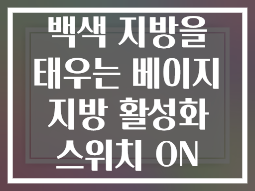 백색 지방을 태우는 베이지 지방 활성화 스위치 ON