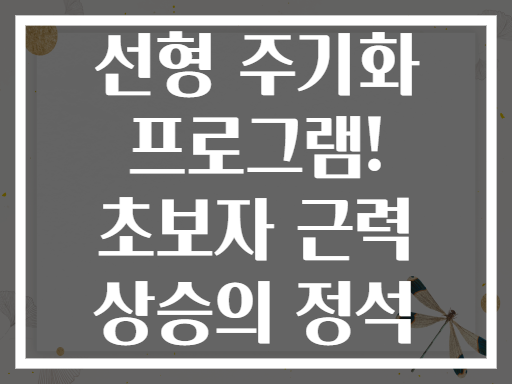 선형 주기화 프로그램! 초보자 근력 상승의 정석
