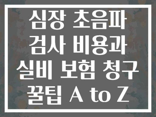 심장 초음파 검사 비용과 실비 보험 청구 꿀팁 A to Z