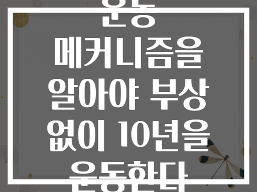 운동 메커니즘을 알아야 부상 없이 10년을 운동한다