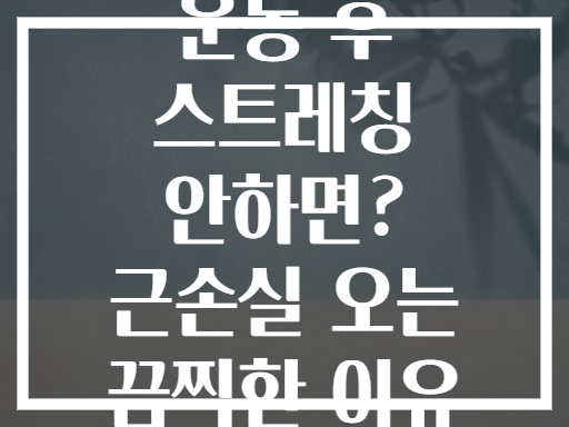 운동 후 스트레칭 안하면? 근손실 오는 끔찍한 이유