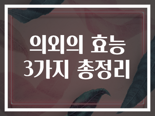의외의 효능 3가지 총정리