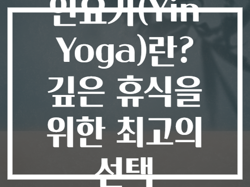 인요가(Yin Yoga)란? 깊은 휴식을 위한 최고의 선택
