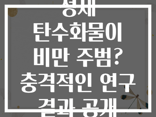 정제 탄수화물이 비만 주범? 충격적인 연구 결과 공개