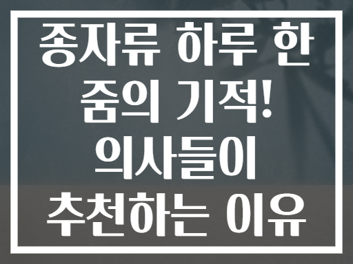 종자류 하루 한 줌의 기적! 의사들이 추천하는 이유