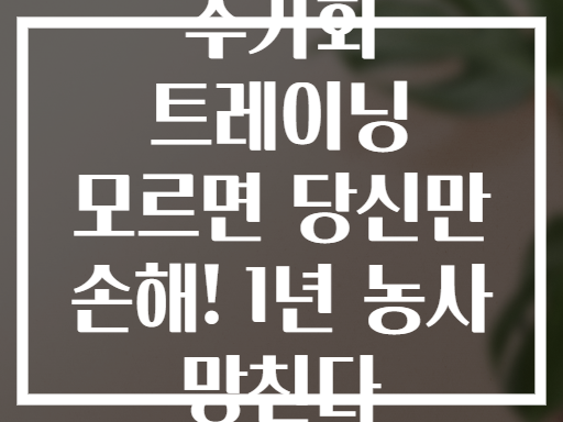 주기화 트레이닝 모르면 당신만 손해! 1년 농사 망친다