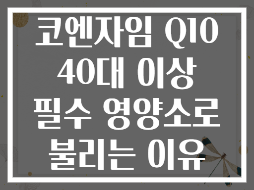 코엔자임 Q10 40대 이상 필수 영양소로 불리는 이유