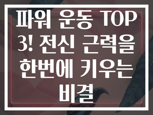 파워 운동 TOP 3! 전신 근력을 한번에 키우는 비결
